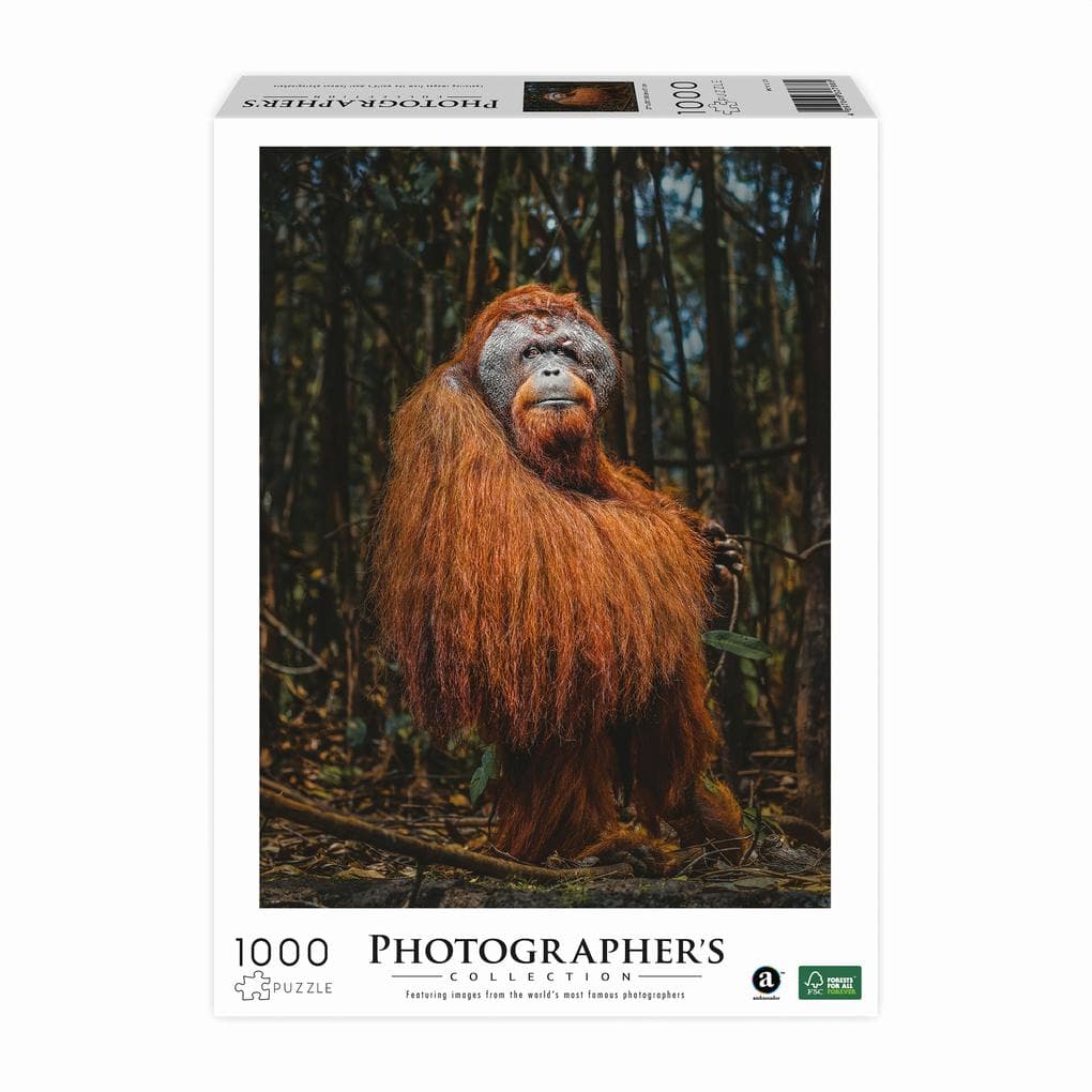 AMBASSADOR - Orang-Utan 1000 Teile (Donal Boyd)