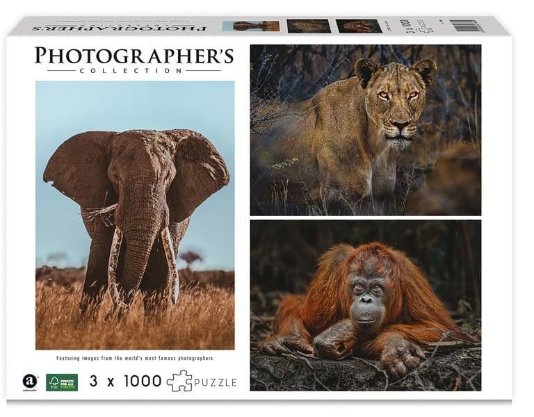 Ambassador - Wildtiere Blickkontakt, Donal Boyd, 3x1000 Teile