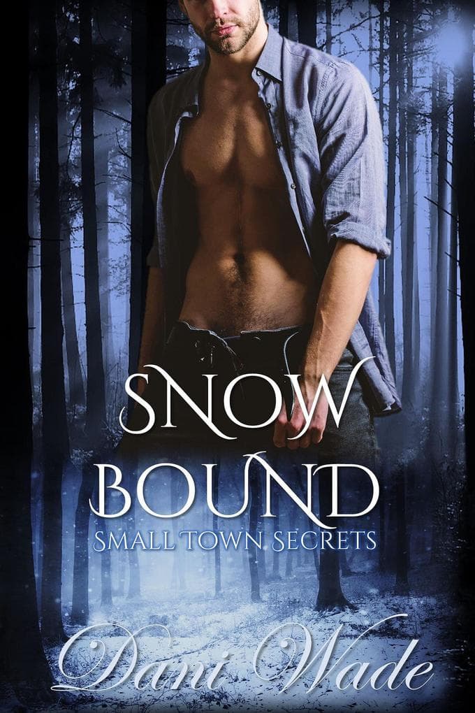 Snow Bound (Small Town Secrets, #3)