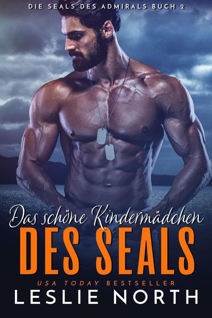 Das schöne Kindermädchen des SEALs (Die SEALs des Admirals, #2)