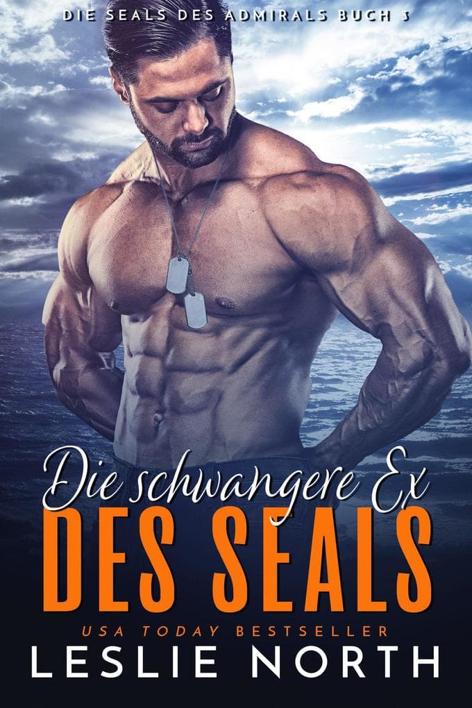 Die schwangere Ex des SEALs (Die SEALs des Admirals, #3)