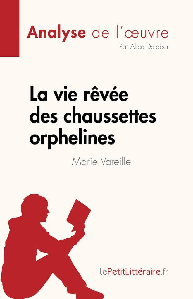 La vie rêvée des chaussettes orphelines de Marie Vareille (Analyse de l'oeuvre)