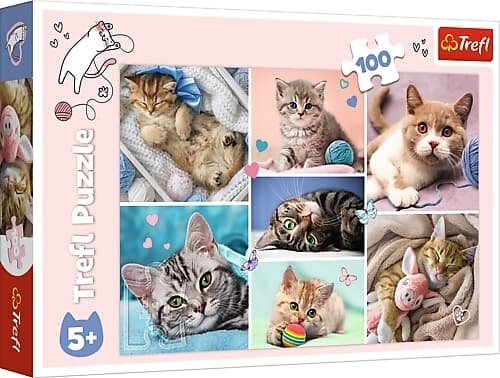 Katzenwelt (Kinderpuzzle)