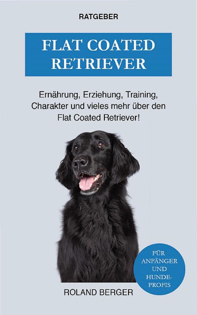 Flat Coated Retriever