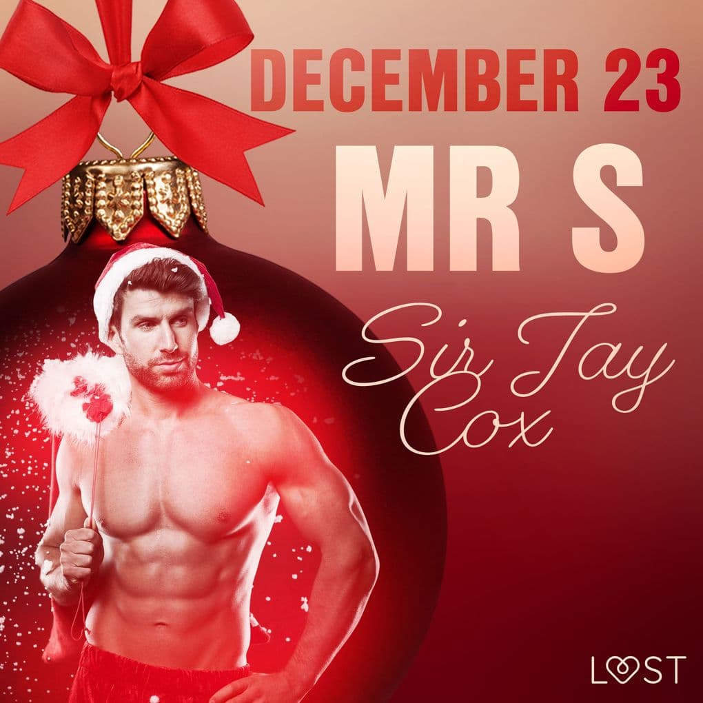 December 23: Mr S An Erotic Christmas Calendar