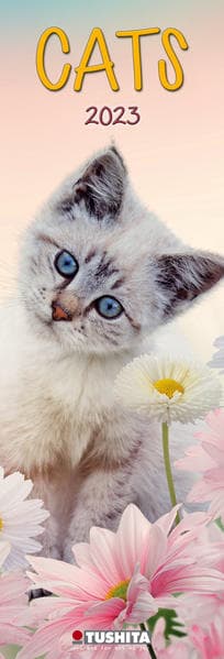 Cats 2023