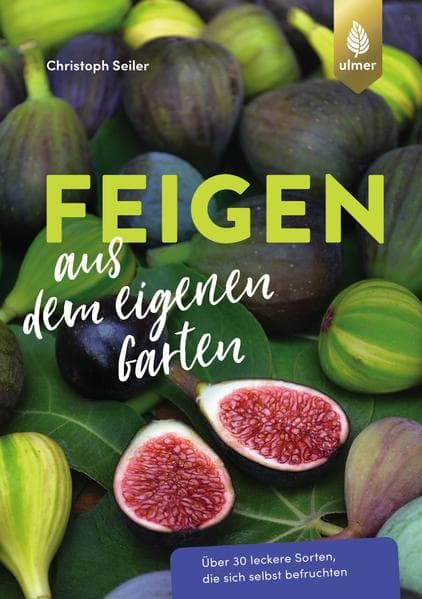Feigen aus dem eigenen Garten