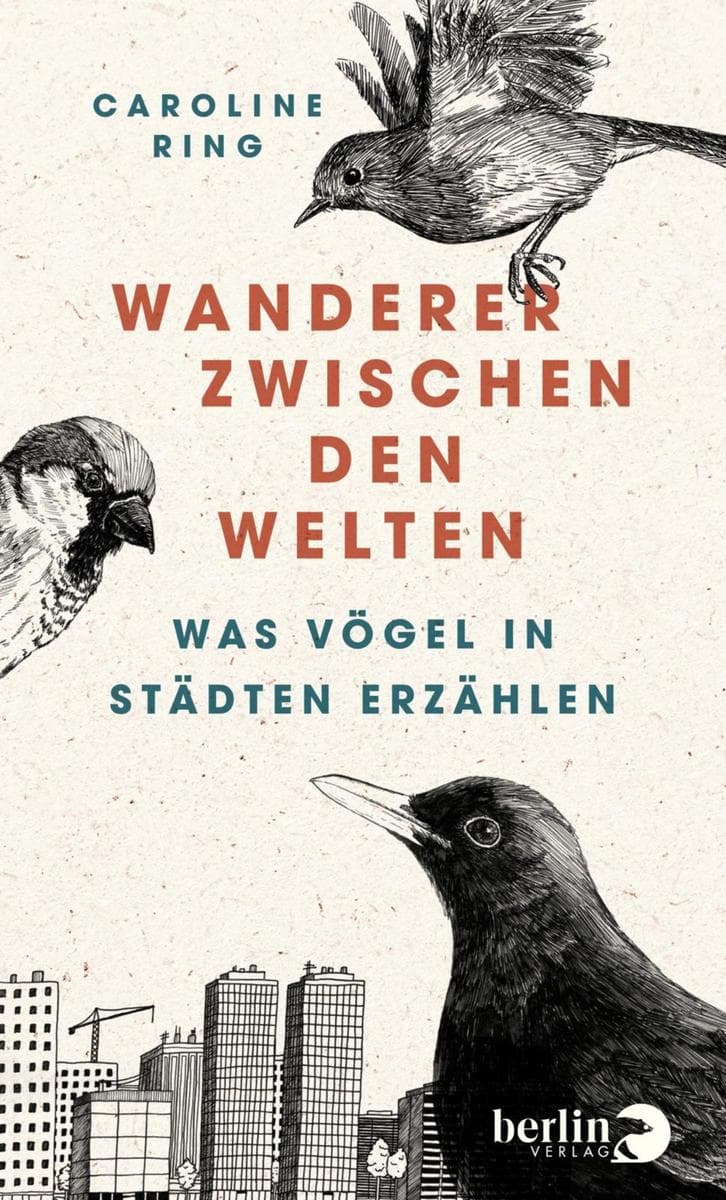 Wanderer zwischen den Welten: Was Vögel in Städten erzählen