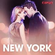 New York eroottinen novelli