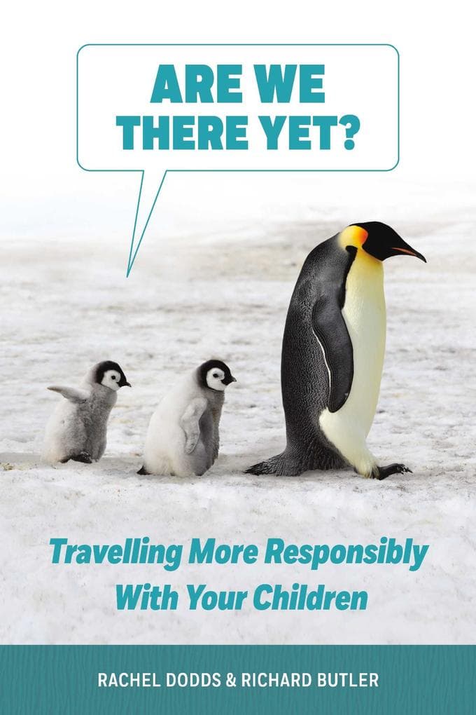 Are We There Yet?