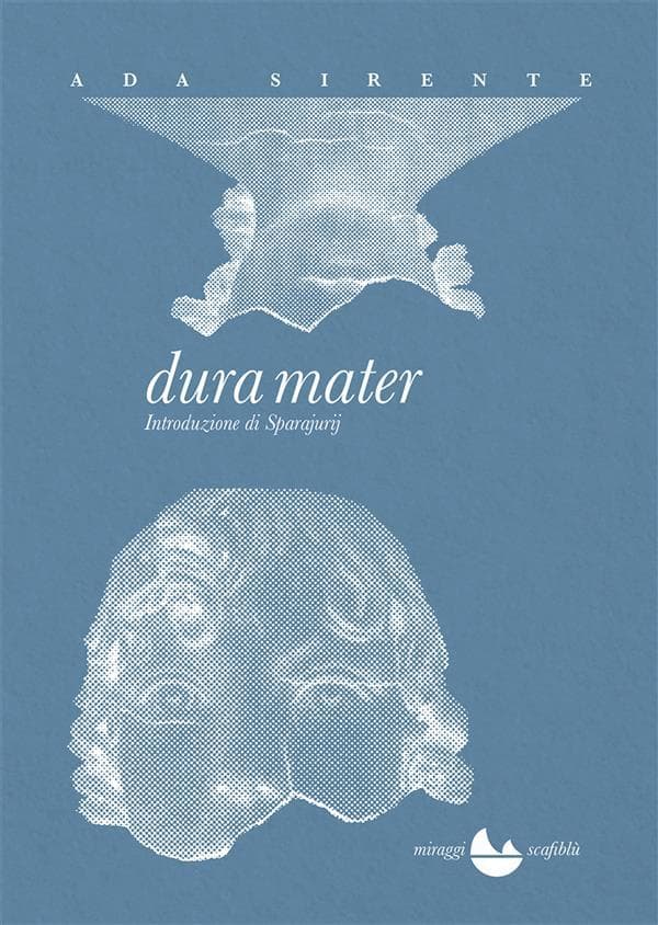 Dura mater