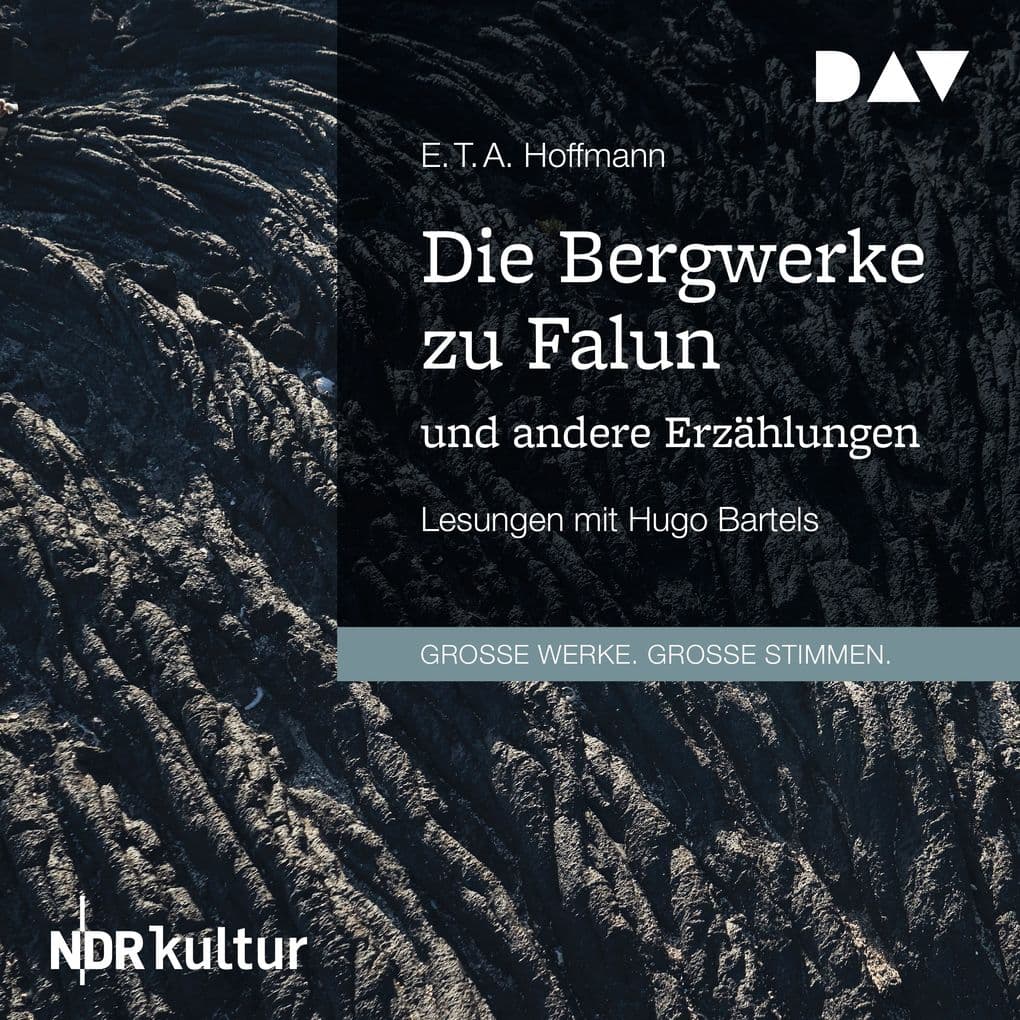 Die Bergwerke zu Falun und andere Erzählungen