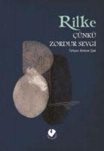 Cünkü Zordur Sevgi Özdeyisler, Düsünceler, Gözlemler