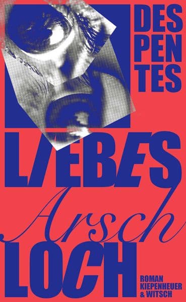 Liebes Arschloch: Roman