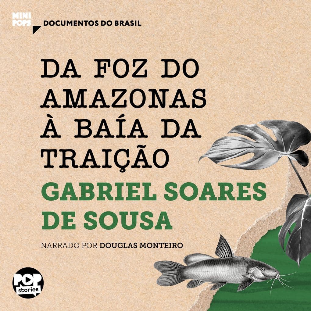 Da foz do Amazonas à Baía da Traição: Textos selecionados do livro Tratado Descritivo do Brasil