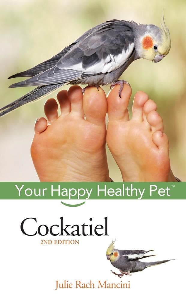 Cockatiel