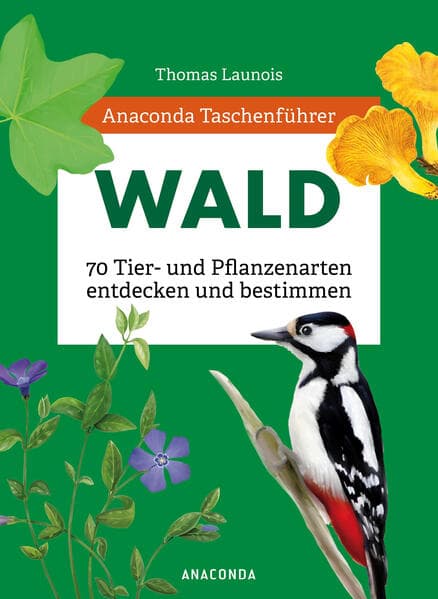 Anaconda Taschenführer Wald - 70 Tier- und Pflanzenarten entdecken und bestimmen