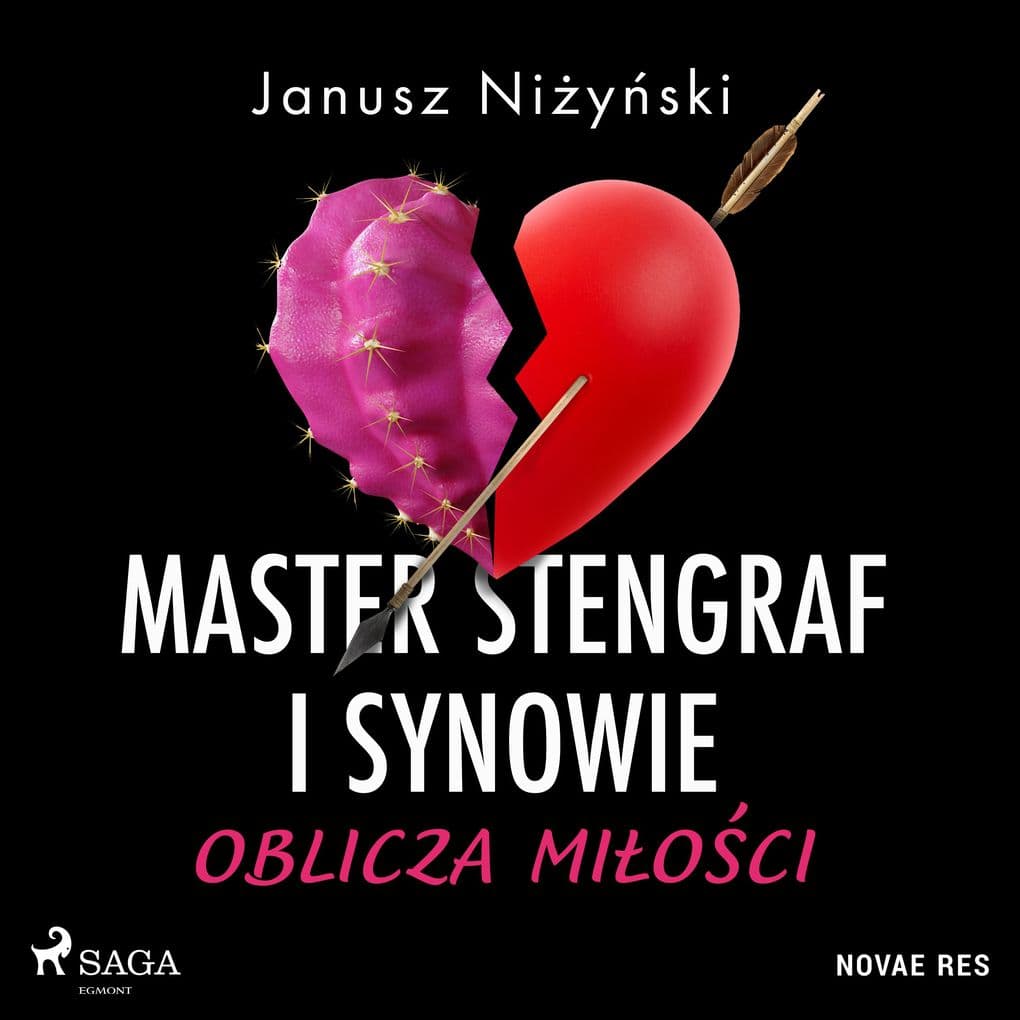 Master Stengraf i synowie. Oblicza mioci