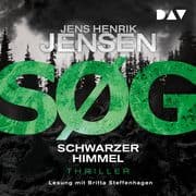 SØG. Schwarzer Himmel. Ein Nina-Portland-Thriller (Teil 2)