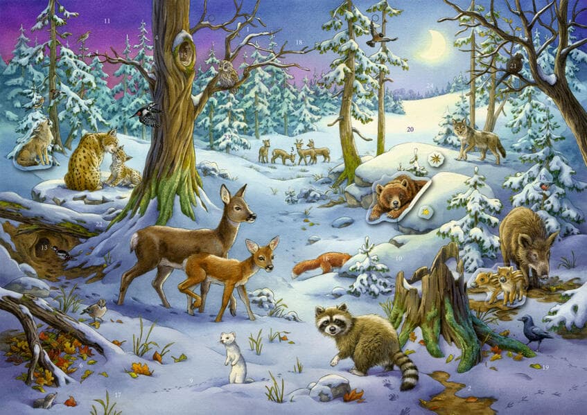 Coppenrath - Tiere im Winterwald, Sticker-Adventskalender