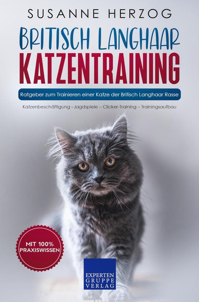 Britisch Langhaar Katzentraining - Ratgeber zum Trainieren einer Katze der Britisch Langhaar Rasse