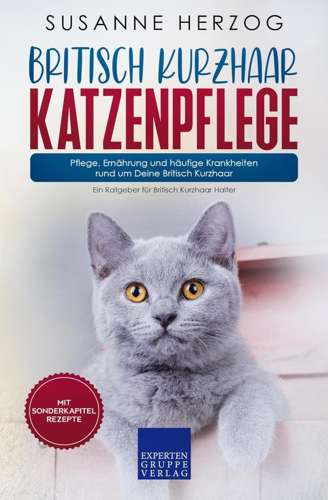 Britisch Kurzhaar Katzenpflege - Pflege, Ernährung und häufige Krankheiten rund um Deine Britisch Kurzhaar