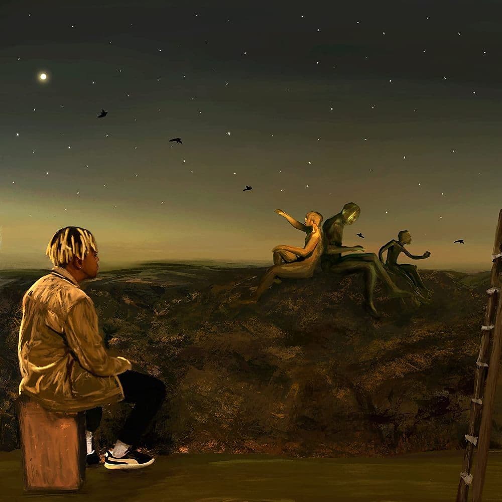 From a Birds Eye View (Clear Vinyl)