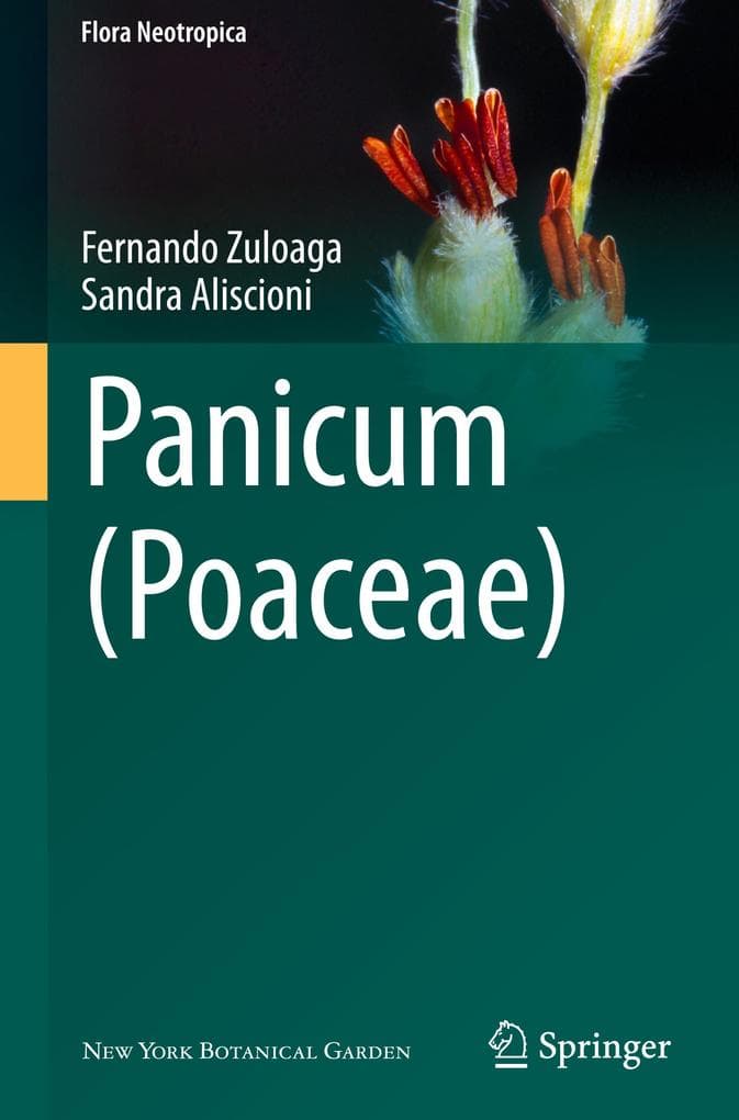 Panicum (Poaceae)