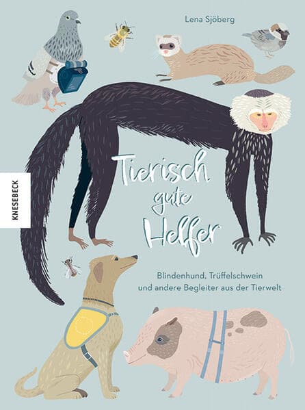 Tierisch gute Helfer: Blindenhund, Trüffelschwein und andere Begleiter aus der Tierwelt