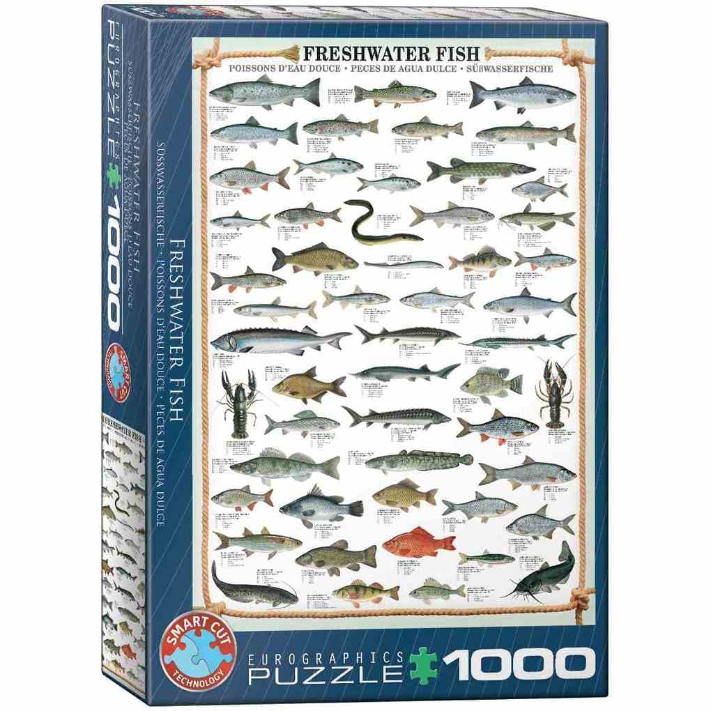 Süßwasserfische