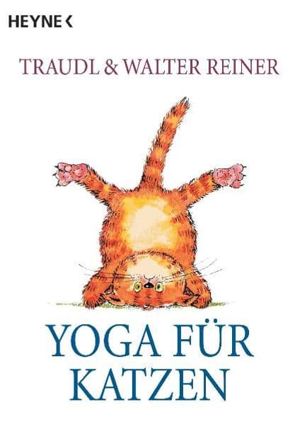 Yoga für Katzen