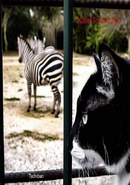 Kater Tom im Zoo
