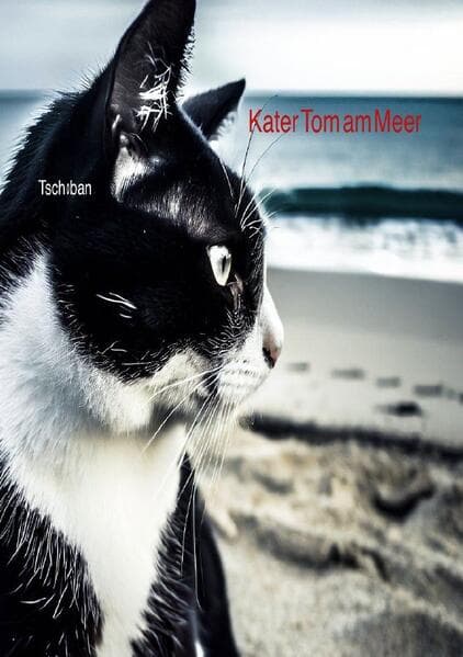 Kater Tom am Meer
