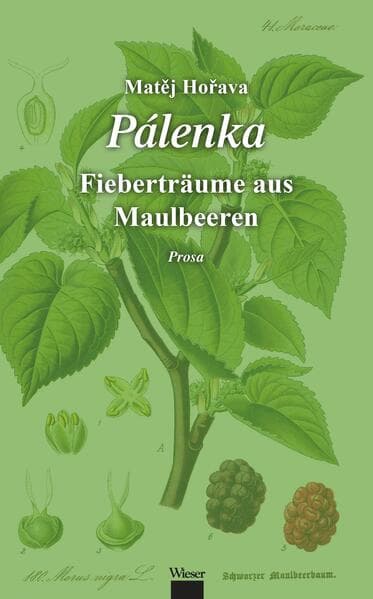Pálenka