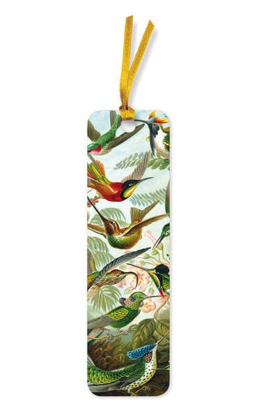 10er-Verpackungseinheit Lesezeichen: Ernst Haeckel, Kolibris