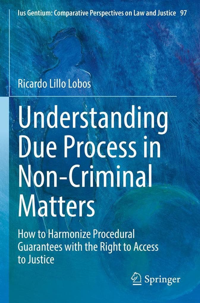 Understanding Due Process in Non-Criminal Matters