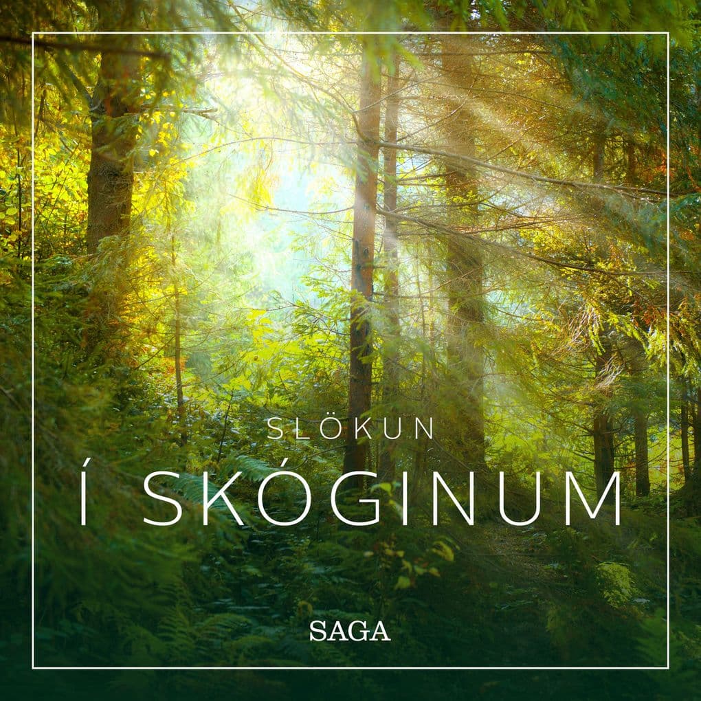 Slökun - Í skóginum
