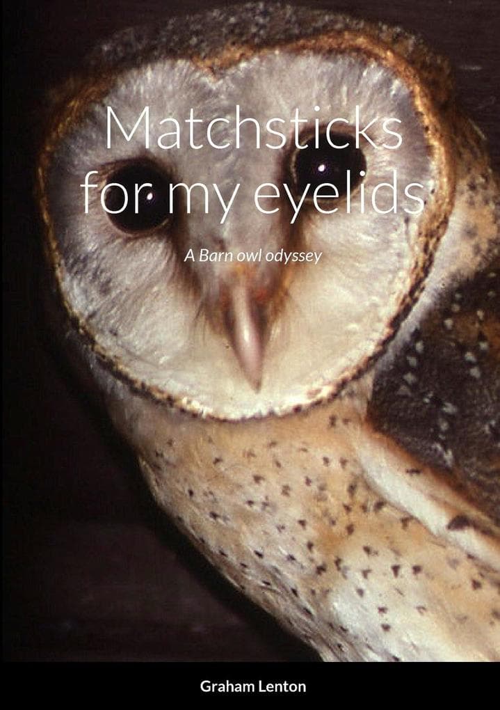 Matchsticks for my eyelids