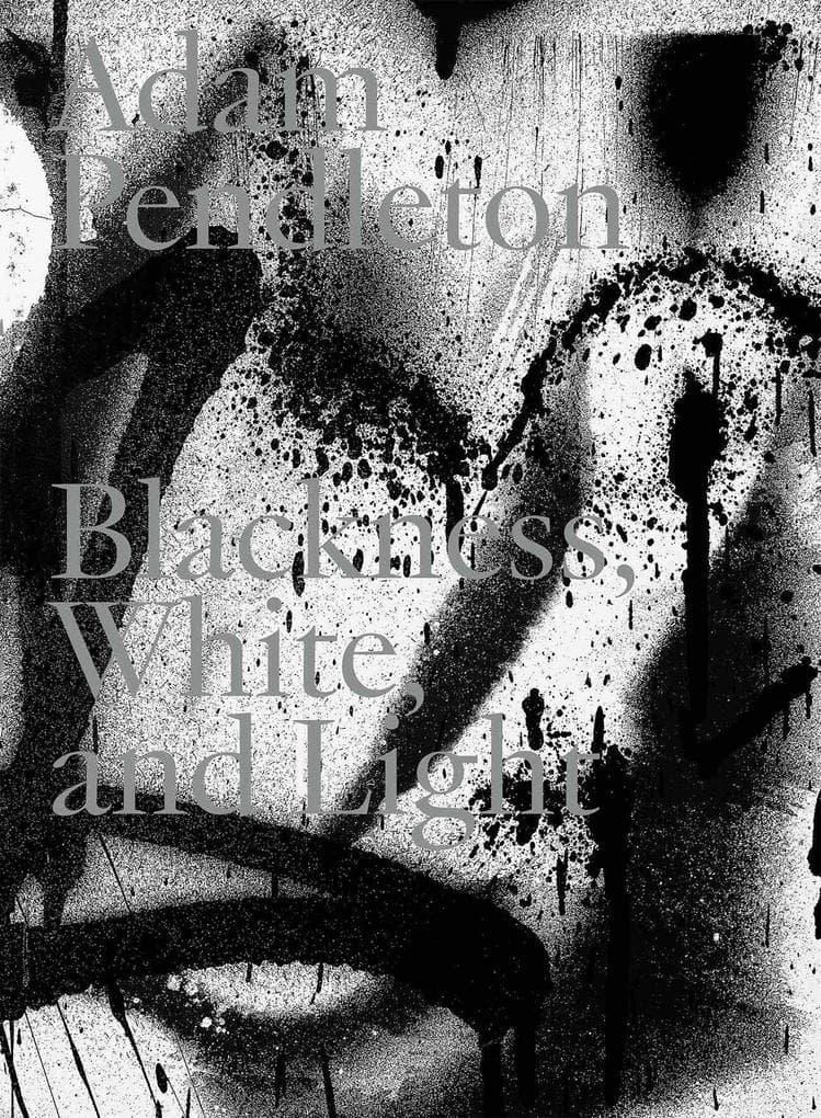 Adam Pendleton. Blackness, White and Light (Deutsch)