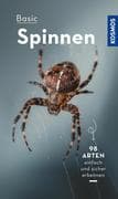 Basic Spinnen