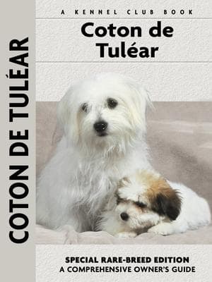 Coton de Tulear