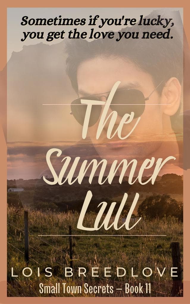 The Summer Lull (Small Town Secrets, #13)