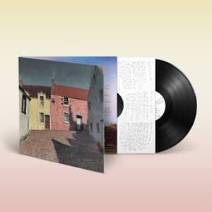 Iechyd Da (LP)