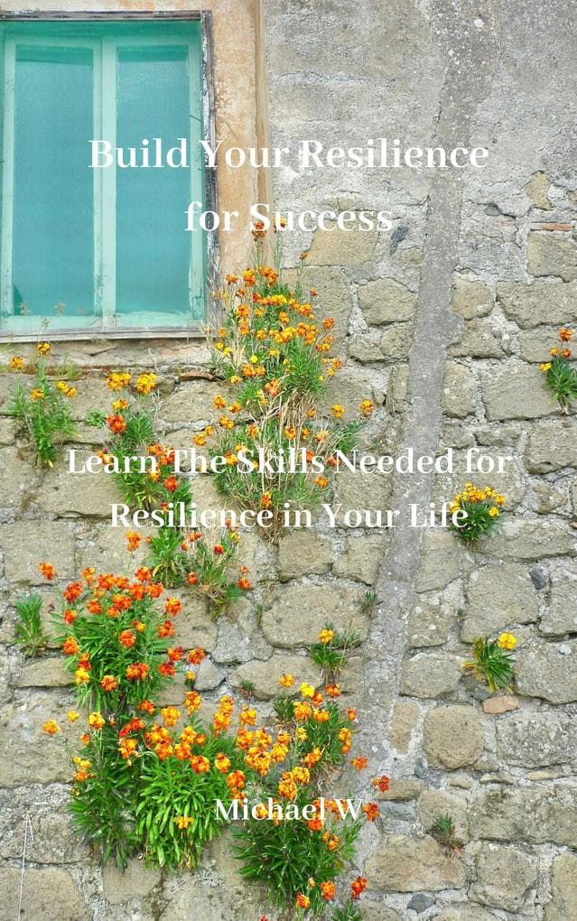 Build Your Resilience for Success