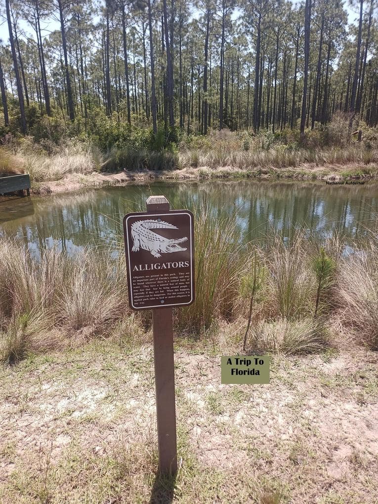 FLORIDA (Exploration, #2)