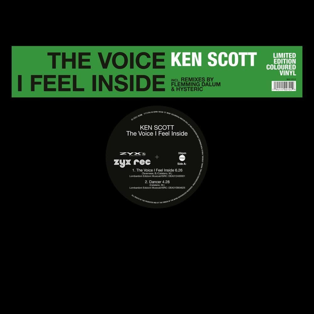 The Voice I Feel Inside,1 Schallplatte (Maxi Vinyl)