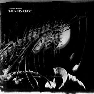 Re-Entry (Reissue)