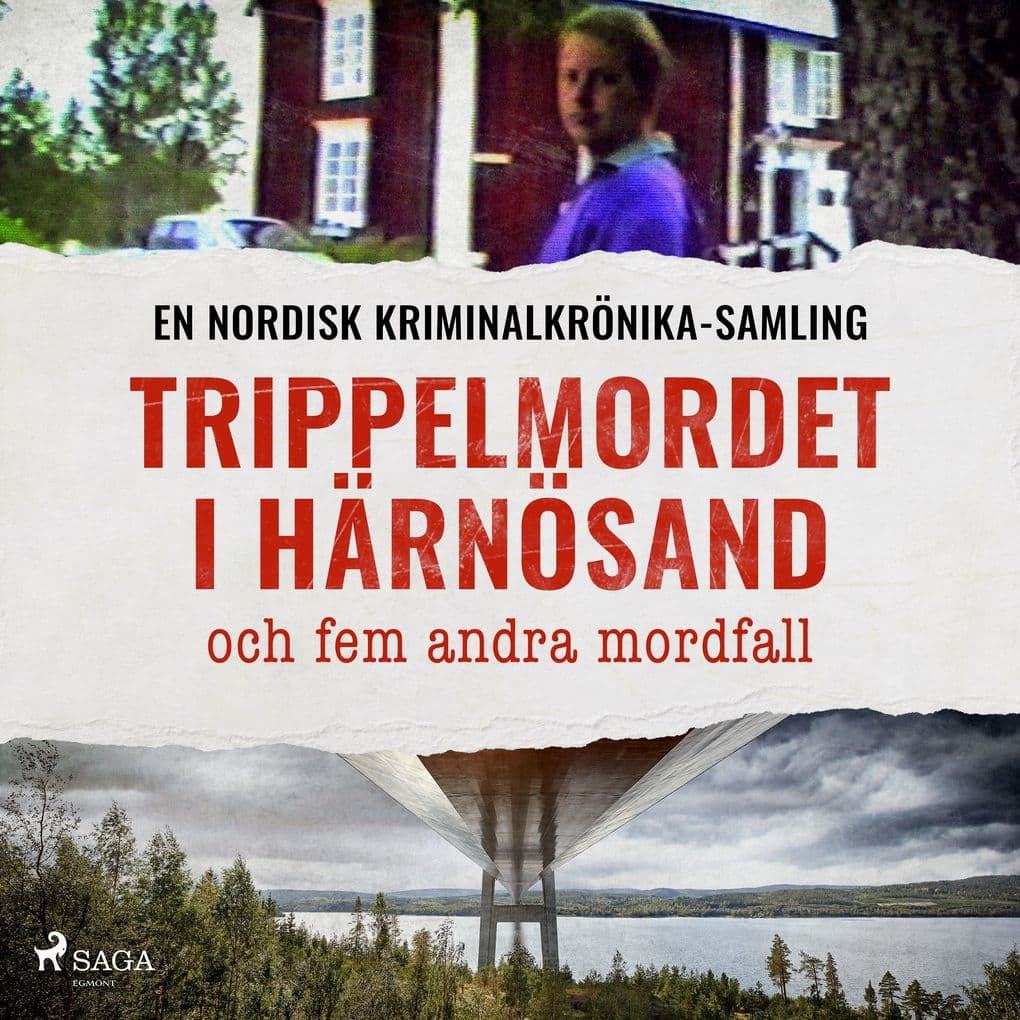 Trippelmordet i Härnösand och fem andra mordfall
