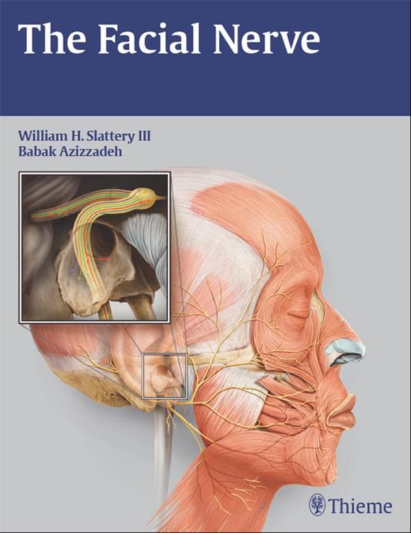 The Facial Nerve