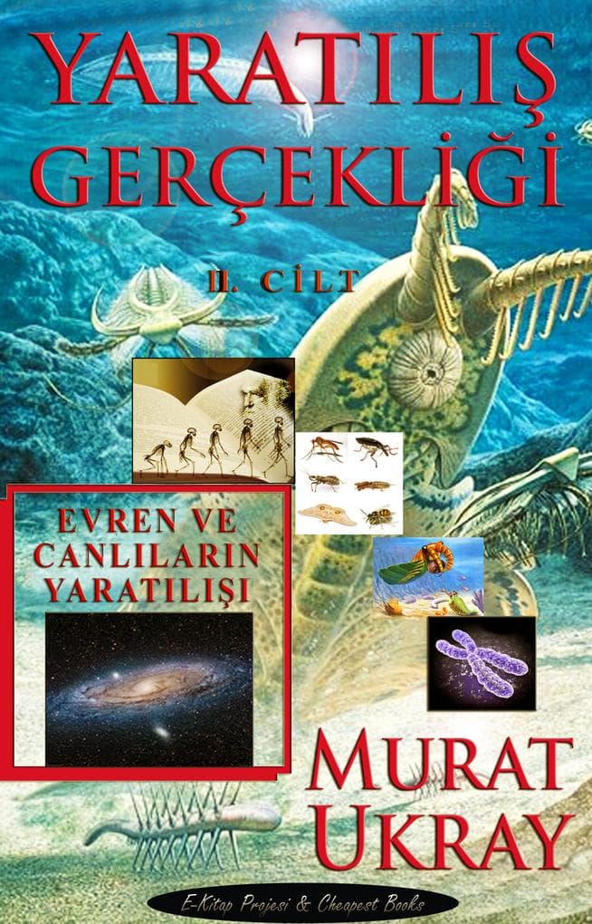 Yaratilis Gerçekligi-II